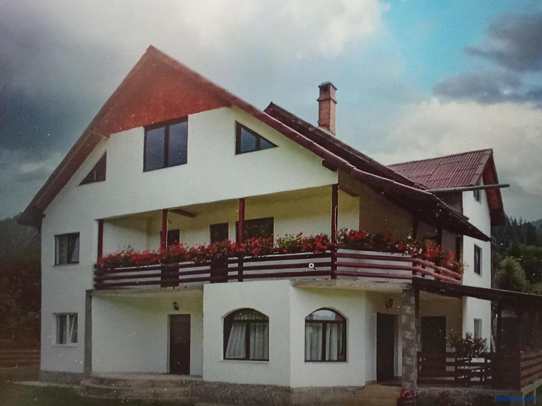 Pensiunea Casa Matei