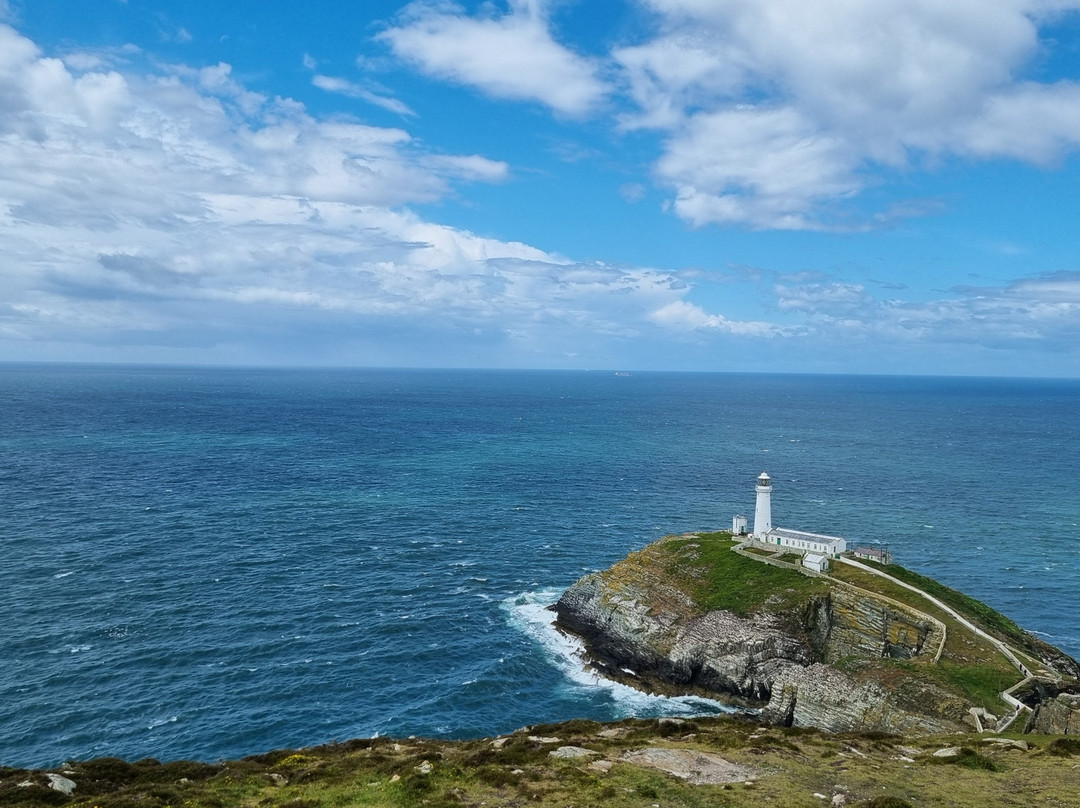 South Stack Cliffs RSPB Reserve-Holyhead必去景点