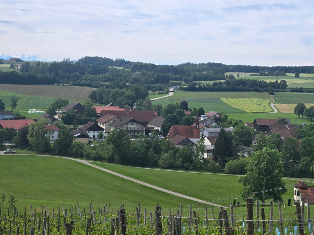 Lambrechten酒店住宿-Osternacherhof