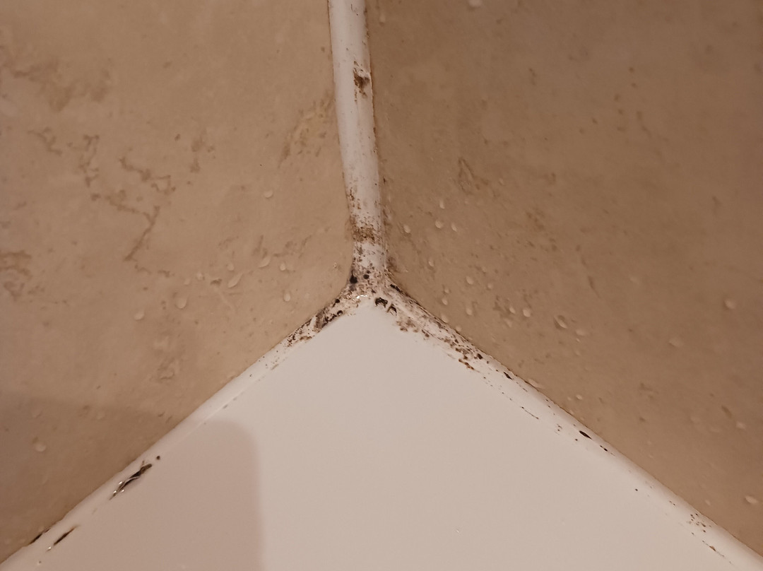 传统玫瑰王冠酒店主图