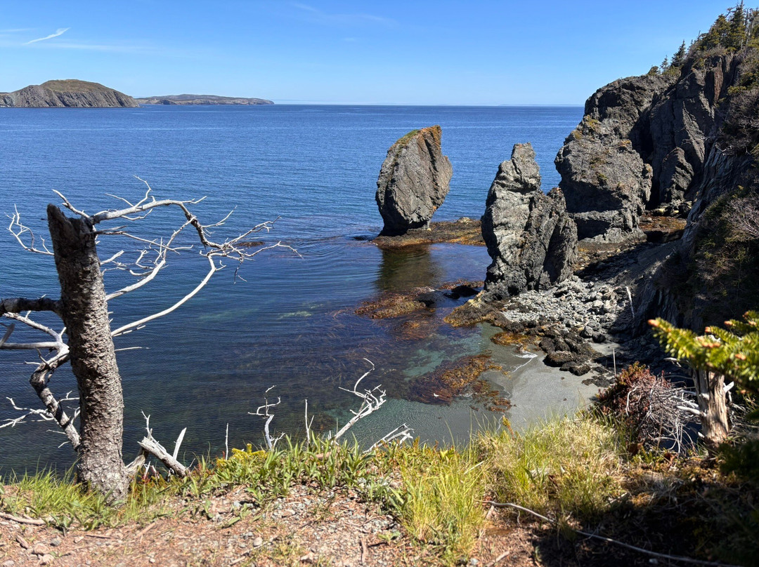 Skerwink Trail-Port Rexton必去景点