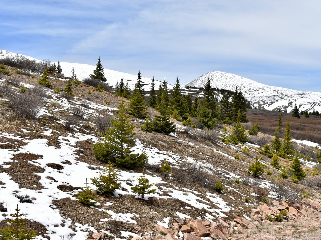 Guanella Pass-Georgetown必去景点