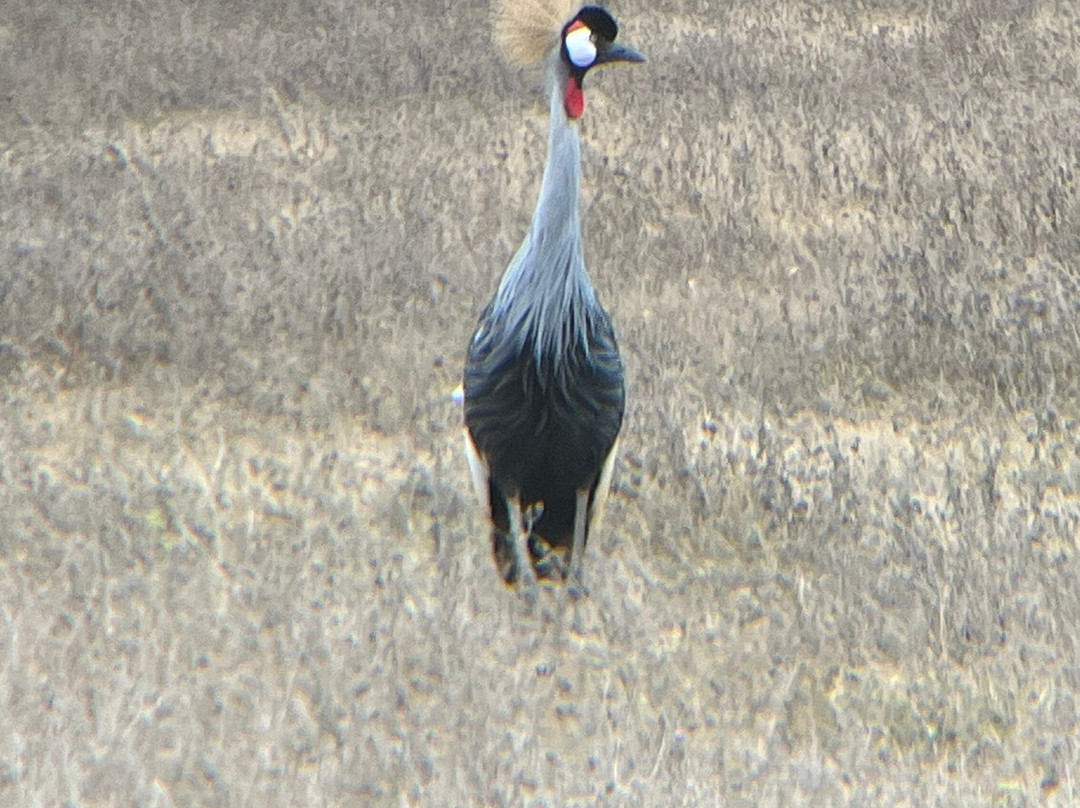 Zara Tanzania Adventures-莫西必去景点