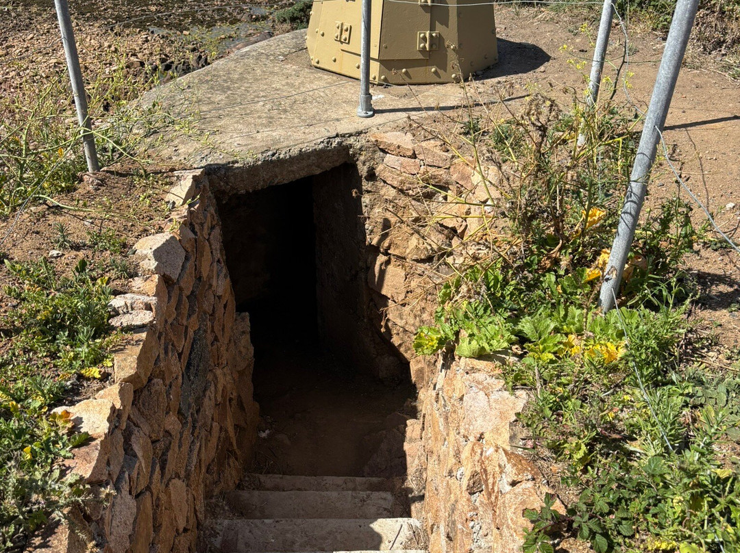Tours Of Guernsey-St Peter Port必去景点