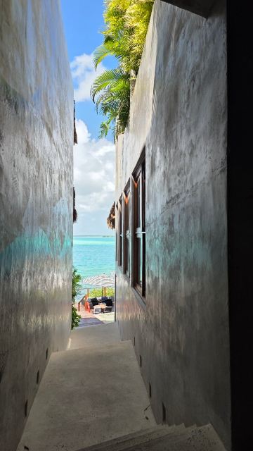 Amainah Bacalar-旅行者