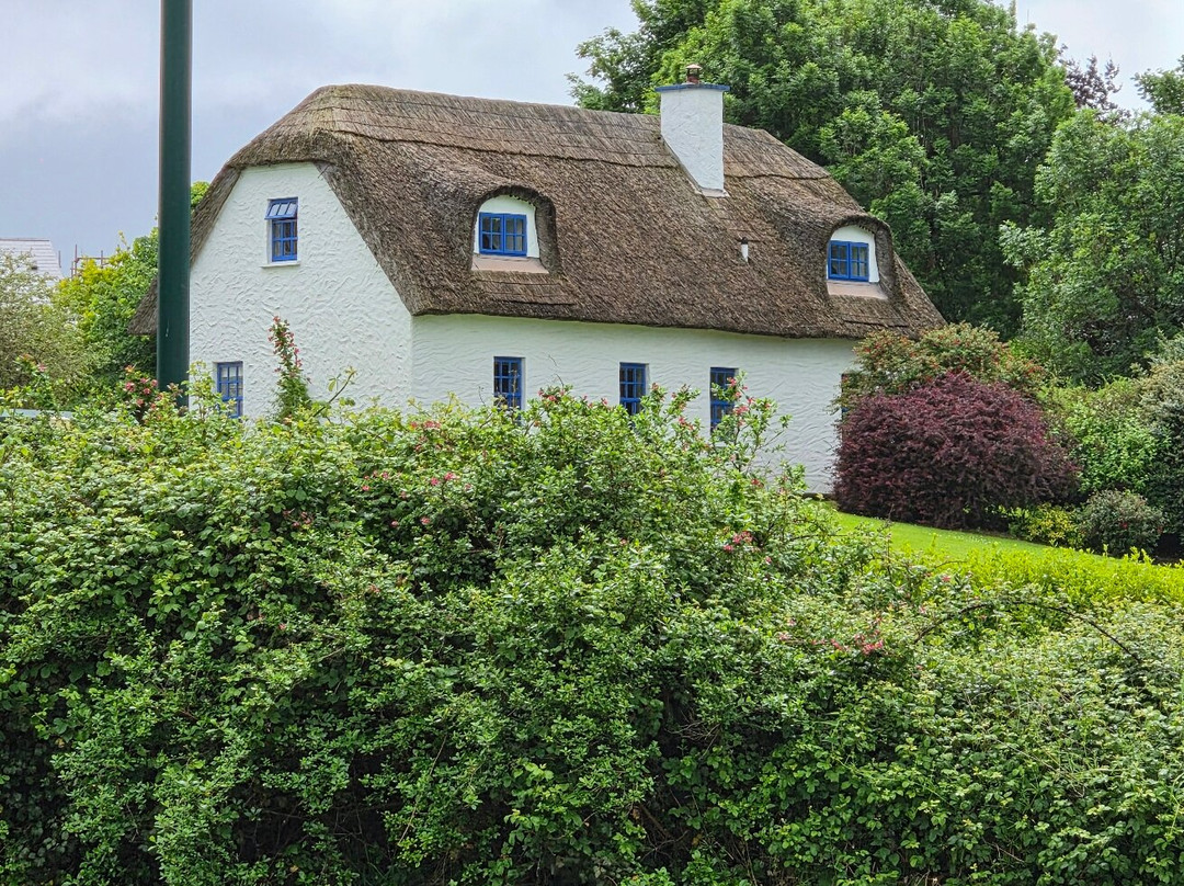 Connect the Dots Tours of Ireland-都柏林必去景点