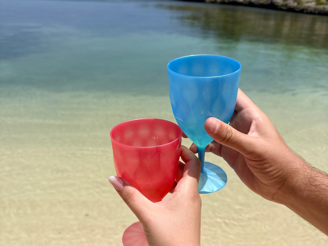 Antigua Chiama Italia Tour-Jolly Harbour必去景点