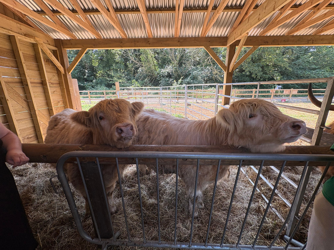 Quex Adventure Farm Park-Birchington必去景点