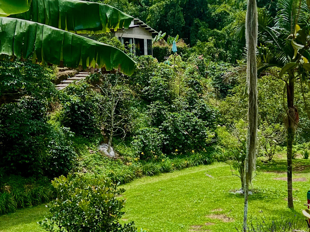 Finca Cafetera La Leona-麦德林必去景点