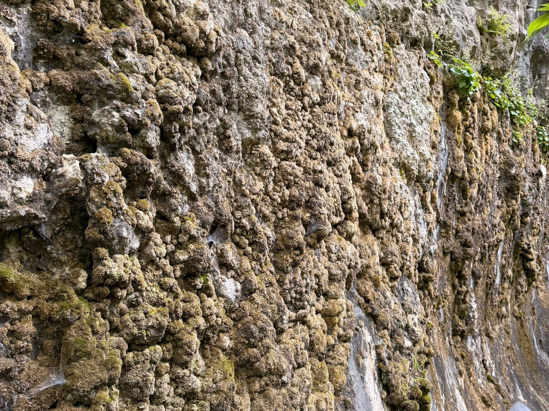 The Highlands Nature Sanctuary-Bainbridge - Ross County必去景点
