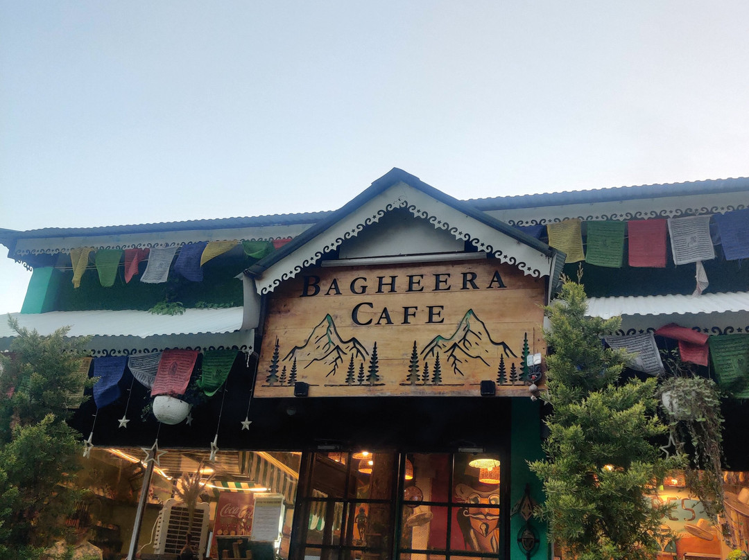 Bagheera Cafe Chakrata-Chakrata必去景点