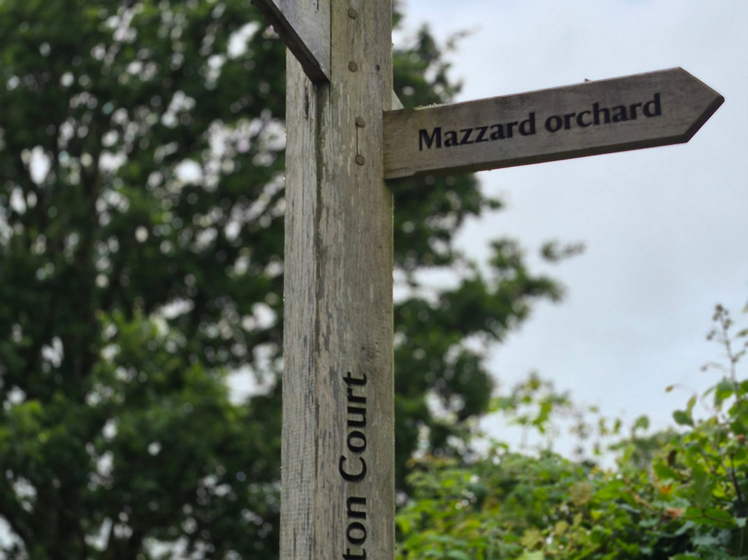 Arlington Court and the National Trust Carriage Museum-巴恩斯特珀尔必去景点