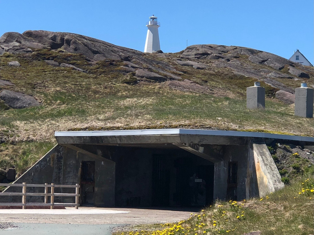Cape Spear Lighthouse National Historic Site-圣约翰必去景点