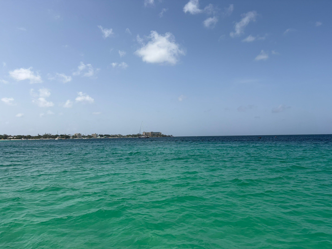 Cool Runnings Catamaran Cruises-布里奇顿必去景点