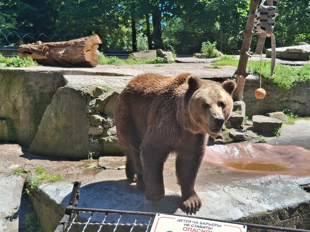 Kaliningrad Zoopark-加里宁格勒必去景点