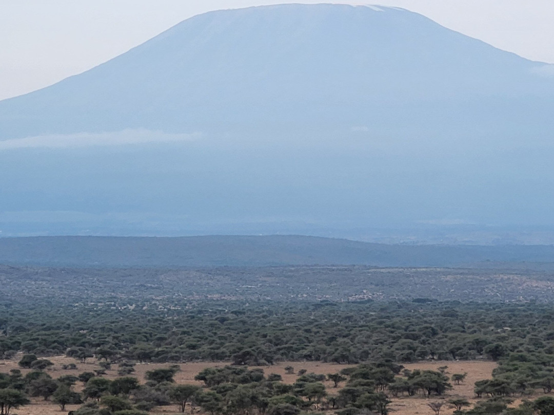 Kilimanjaro Balloon Safaris-安博塞利国家公园必去景点