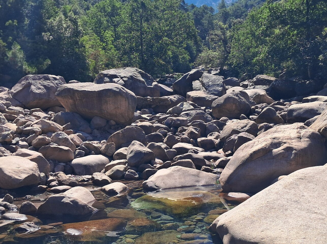 La Forêt De Bonifato-Calenzana必去景点