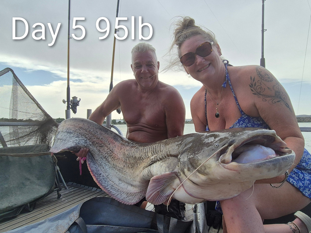 River Ebro Catfishing Holidays-Caspe必去景点