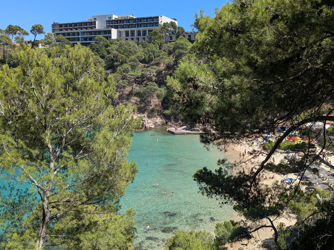 Creative Catalonia - Bike Holidays Girona Spain-赫罗那必去景点