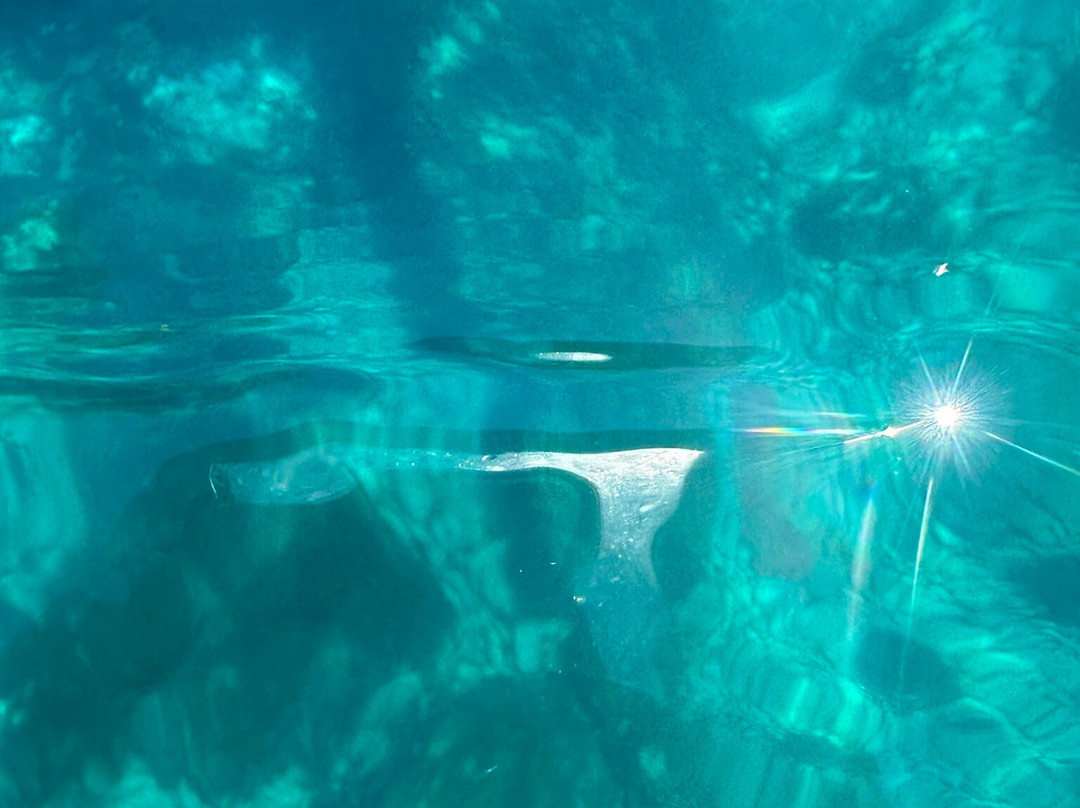 Ritual Dive-Xlendi必去景点