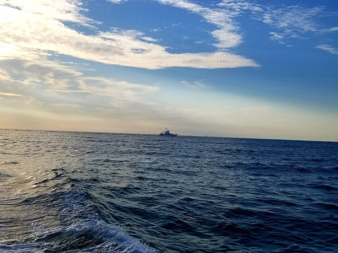 Gulf Shores Public Beach-格尔夫海岸必去景点