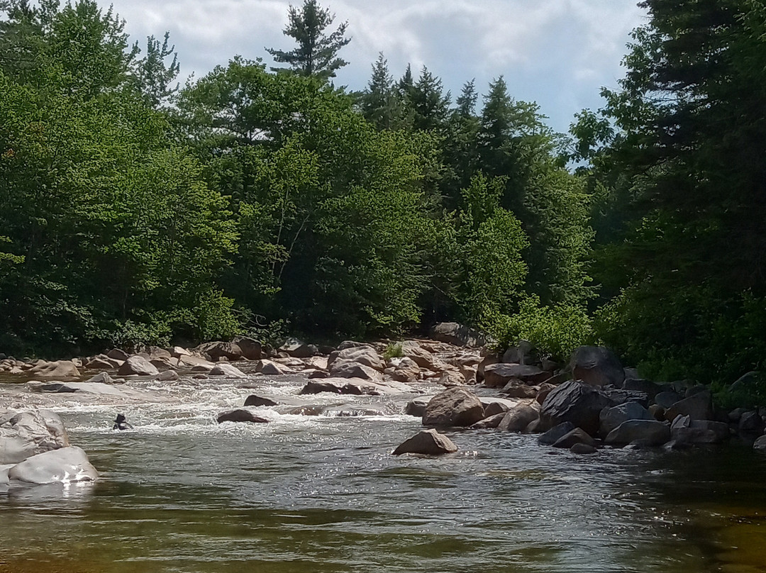 Rocky Gorge Scenic Area-Albany必去景点