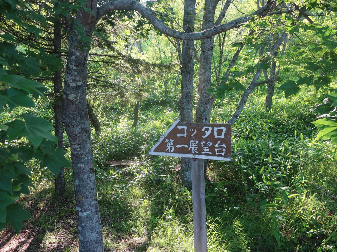Kottaro Swamp Observatory-标茶町必去景点