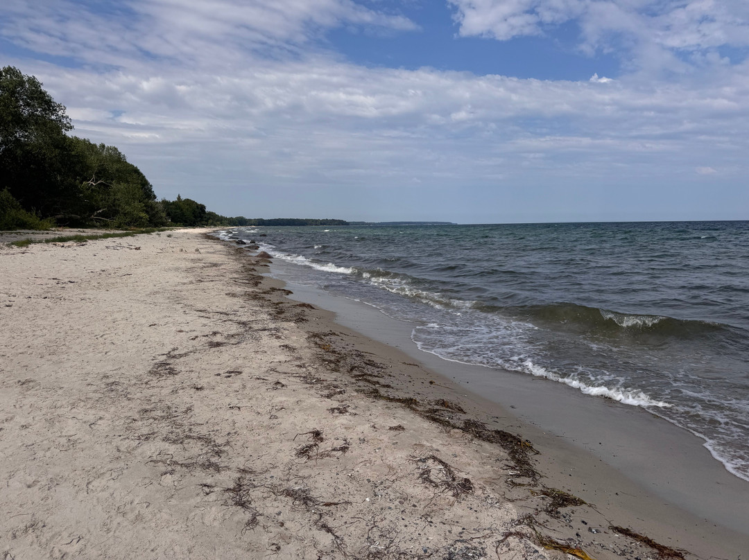 CampingGaarden Ulslev Strand