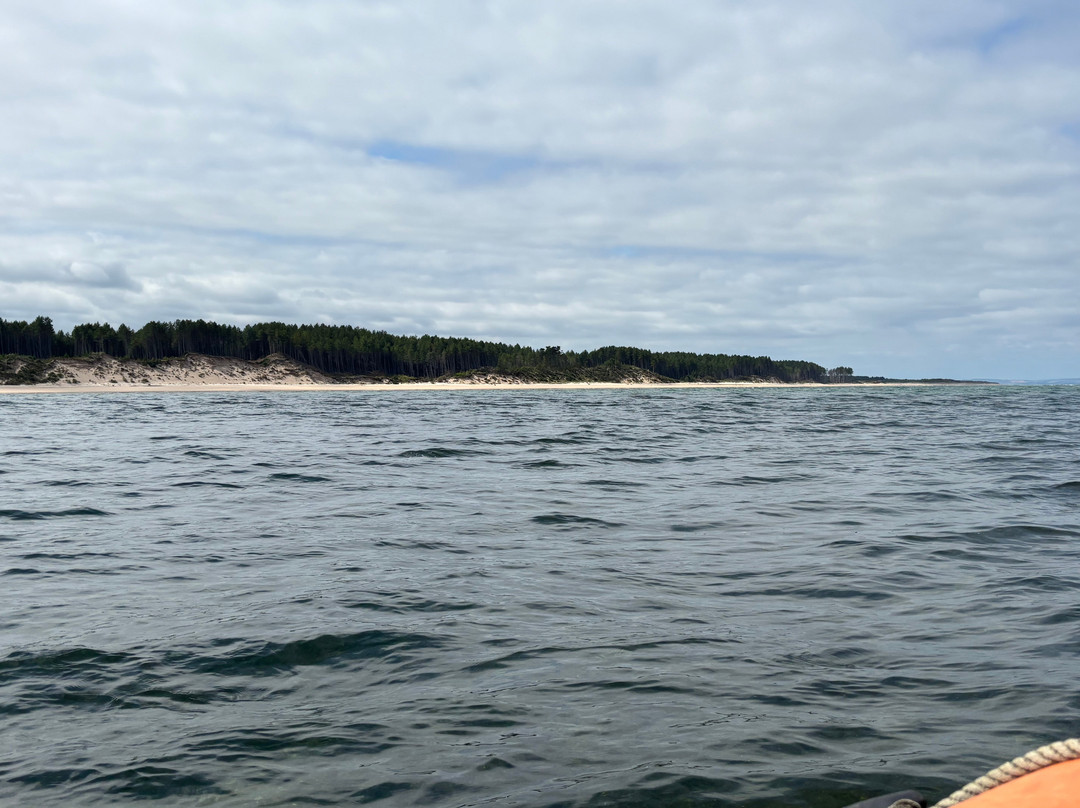 North 58 Sea Adventures-Findhorn必去景点
