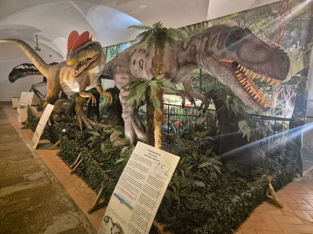 Museo di Storia Naturale - Universita di Pisa-Calci必去景点