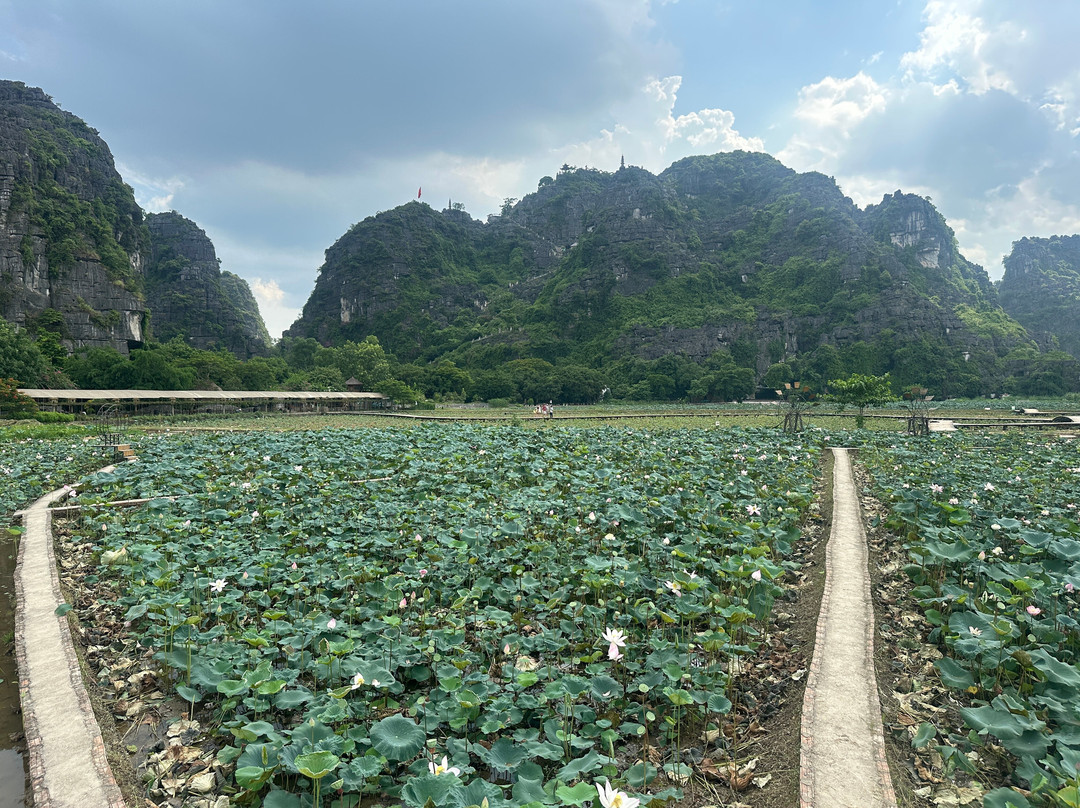 Mua Caves-宁平必去景点