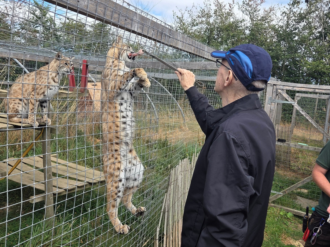 Ark Wildlife Park & Exotic Animal Sanctuary-Stickney必去景点