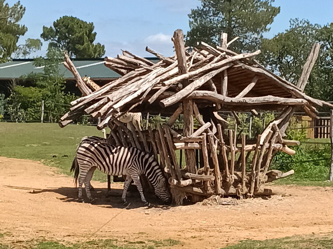 Zoo de La Fleche-La Fleche必去景点