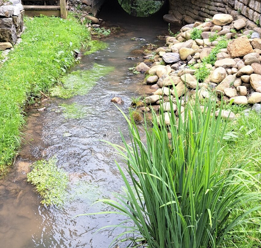 Blowing Cave Mill-塞维尔维尔必去景点