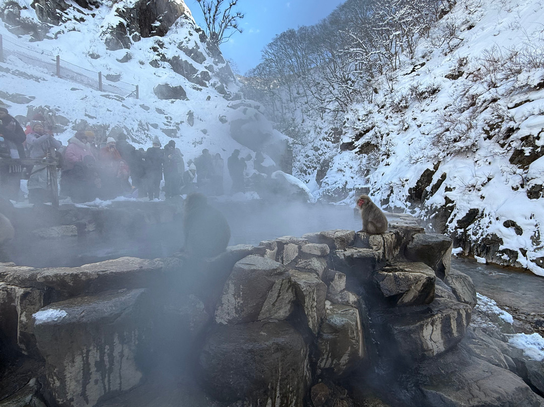 地狱谷雪猴公园-山之内町必去景点