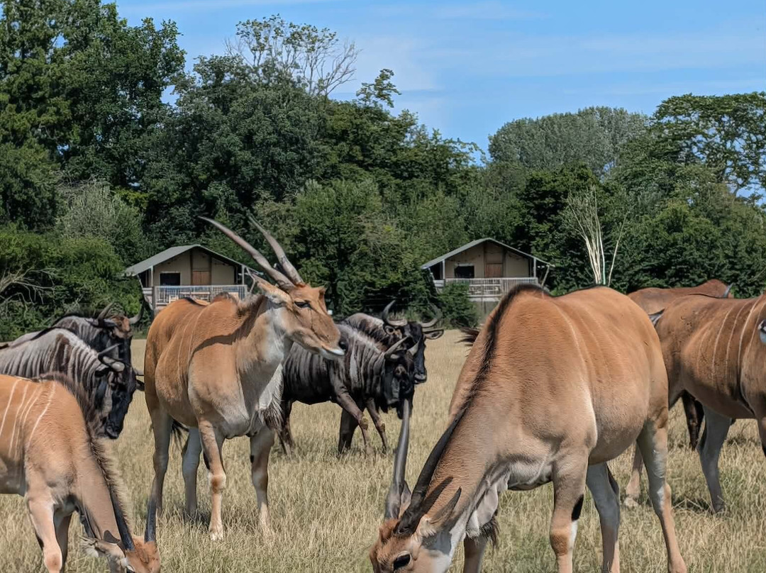 Knuthenborg Safaripark-马里博必去景点