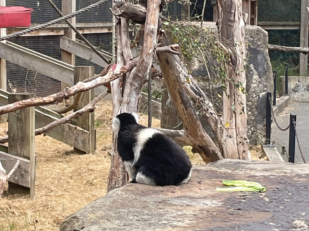 Ponderosa Zoo-Heckmondwike必去景点