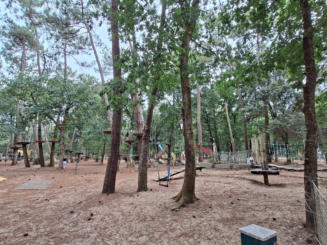 Indian Forest-La Palmyre-Les Mathes必去景点