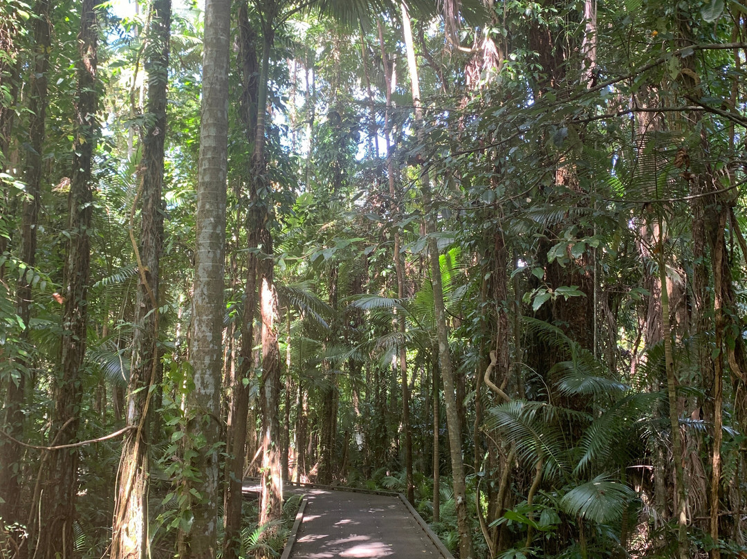 Cairns Botanical Gardens-凯恩斯地区必去景点