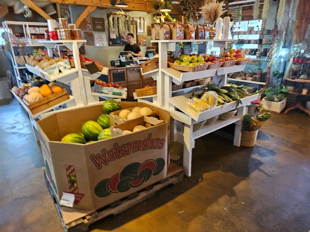 J's Farm Market-Bel Air必去景点