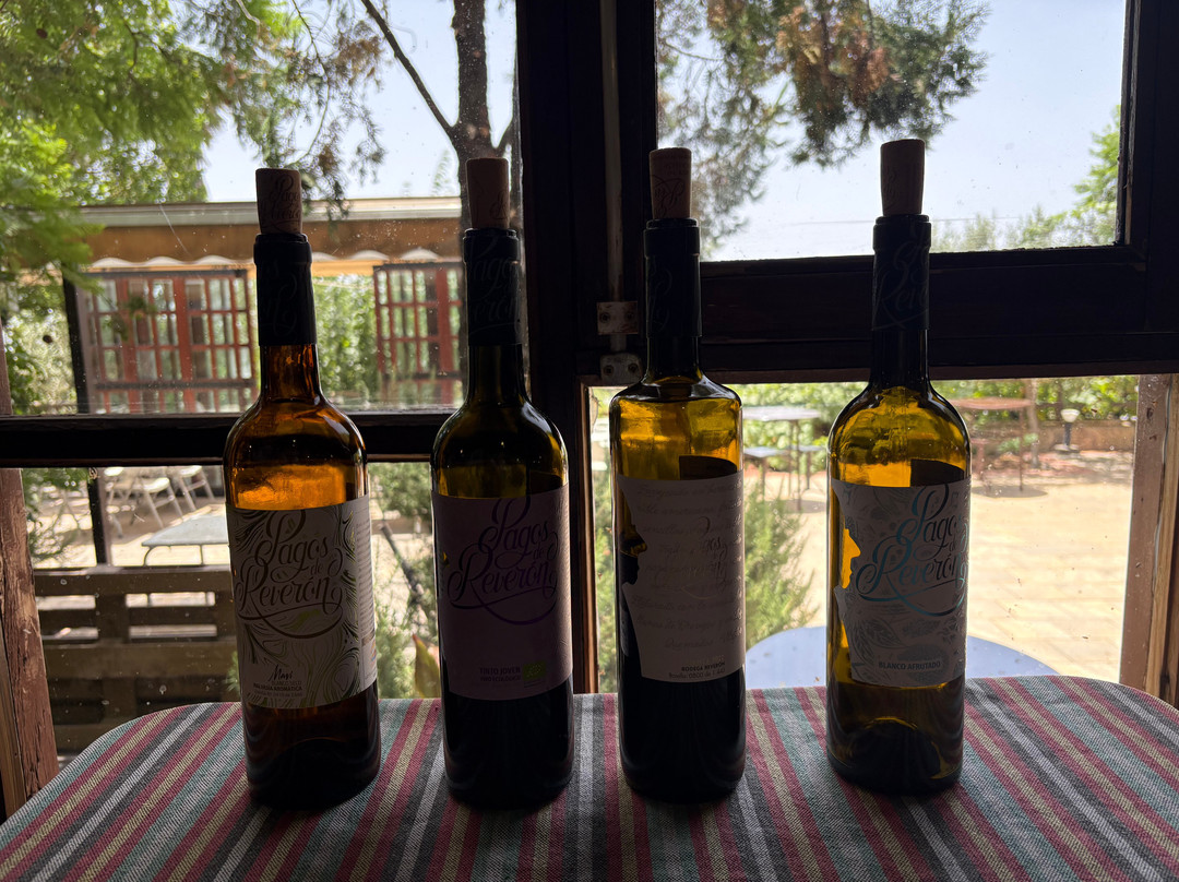 Bodegas Reverón-Vilaflor必去景点