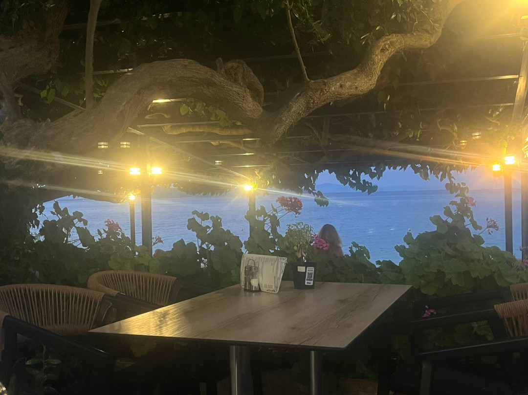 Nisteri Beach Hotel Villa主图