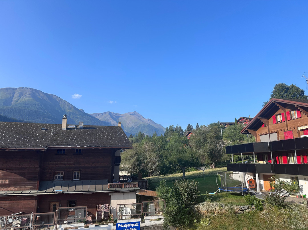 Boutique Und Bier Hotel des Alpes主图