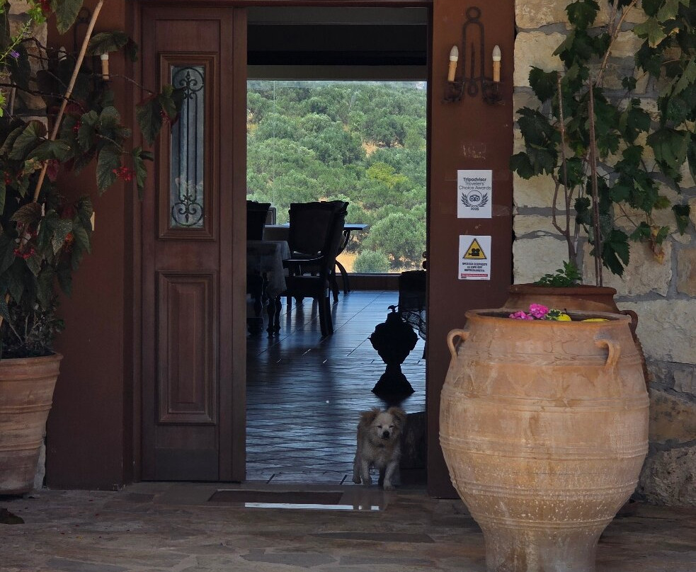 Domaine Paterianakis-伊拉克利翁必去景点