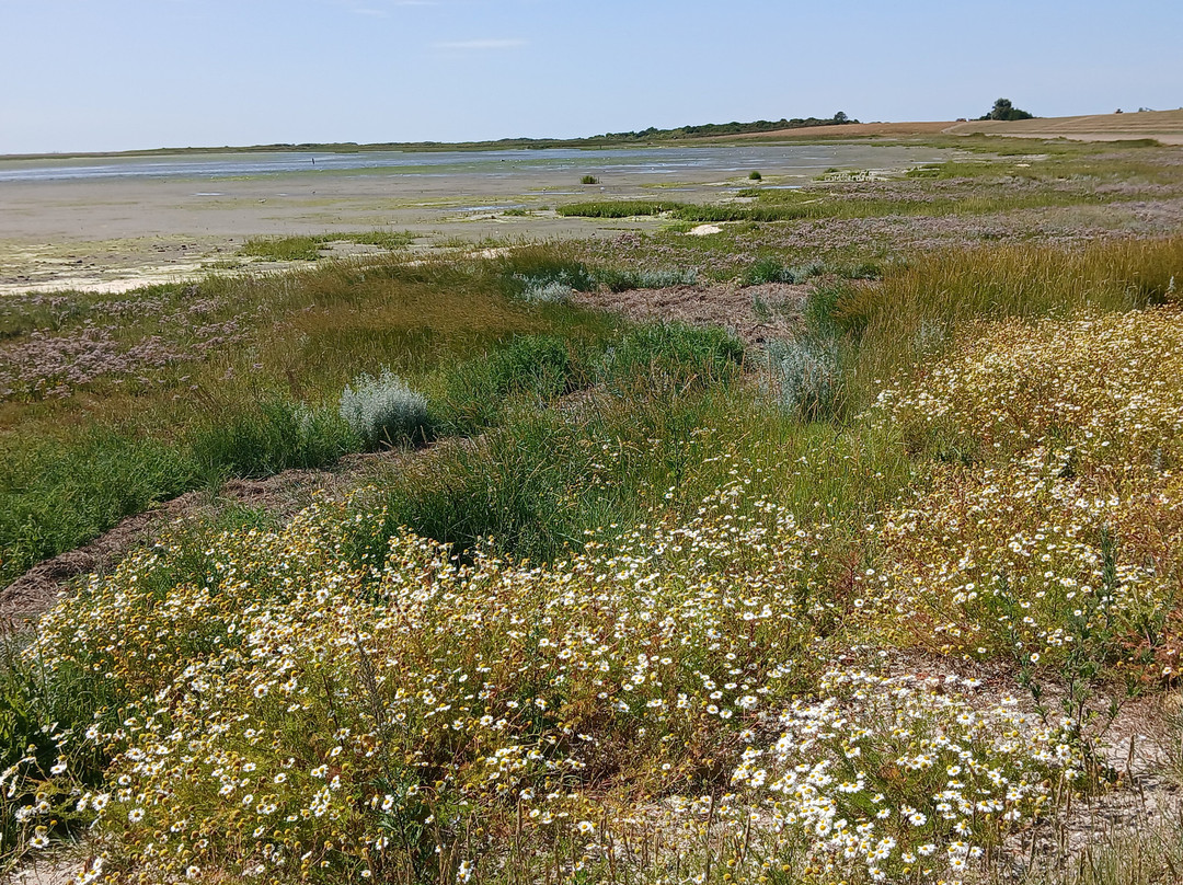 Nationaal Park Schiermonnikoog-Schiermonnikoog必去景点