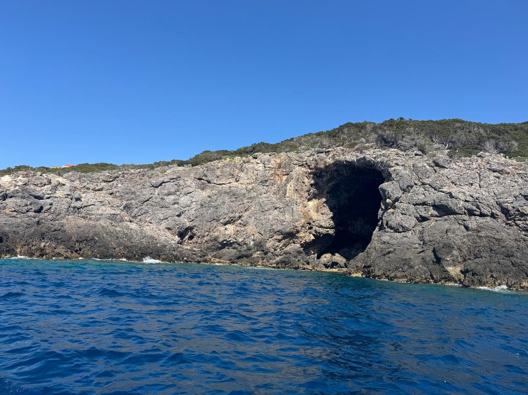 Max Shark Diving-Isola del Giglio必去景点