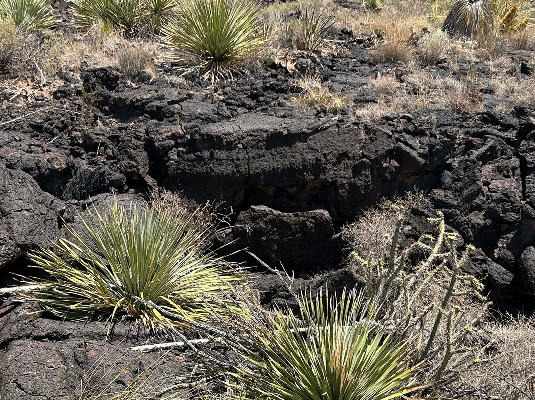 Valley of Fires Recreation Area-Carrizozo必去景点