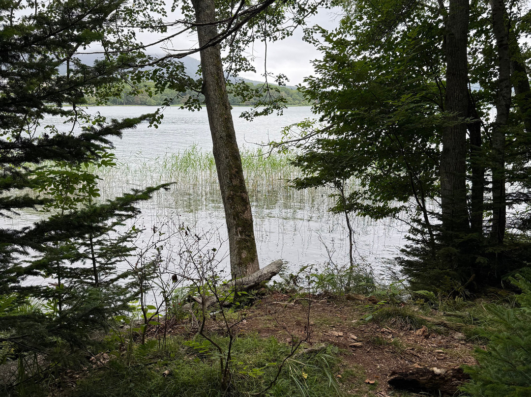Lake Akan Nature Trail-钏路市必去景点