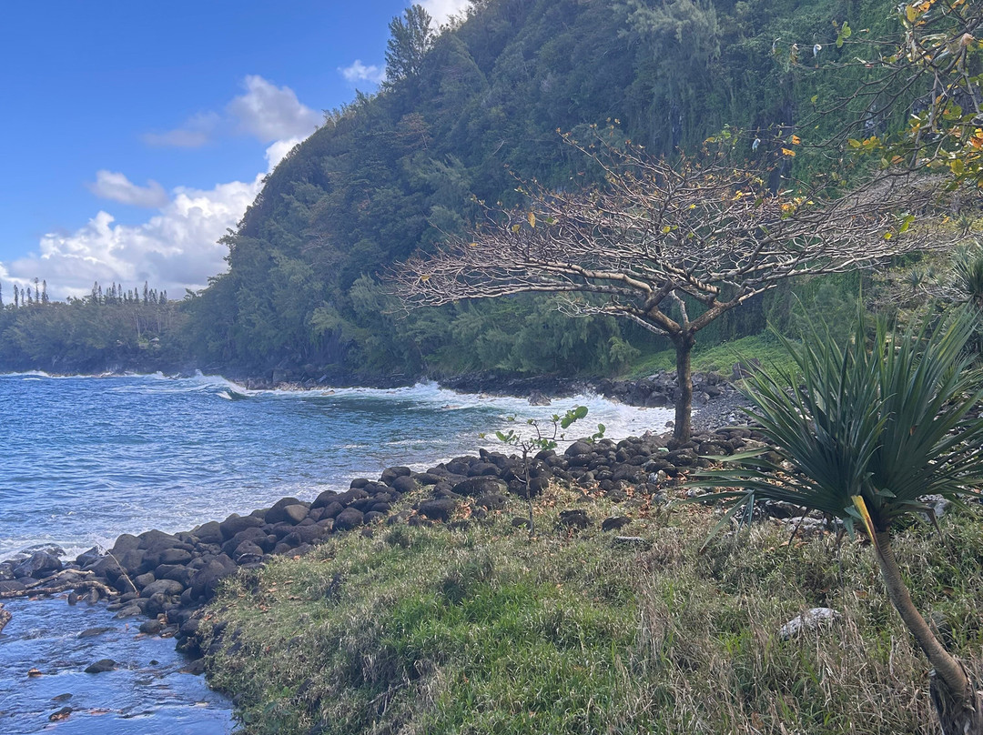 Anse Des Cascades-圣罗斯必去景点