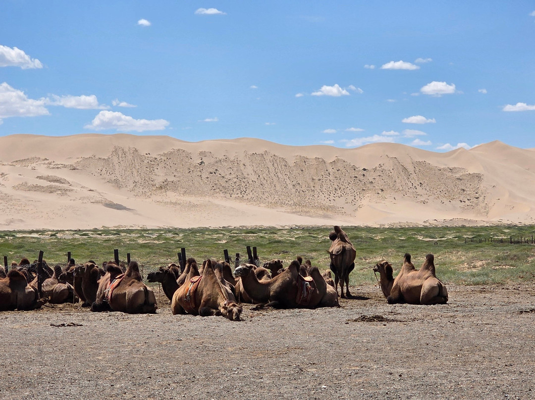 Sunpath Mongolia-乌兰巴托必去景点